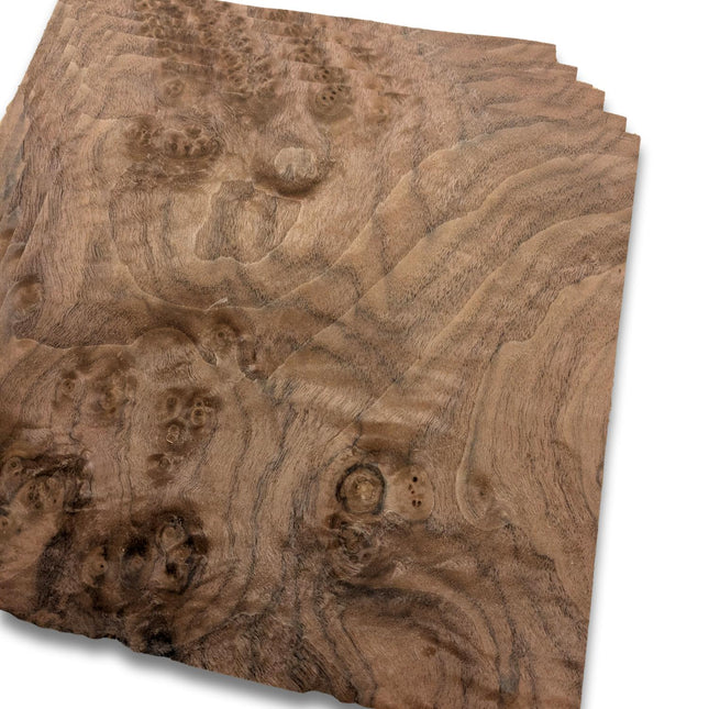 Walnoot wortelfineer | 6 vellen | 25x25 cm