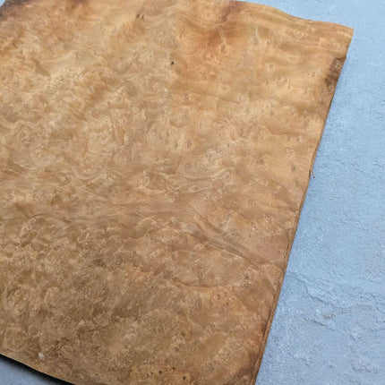 Los vel laurel wortel fineer 26 x 25 cm op grijze ondergrond, onbehandeld hout voor marqueterie of creatieve toepassingen.