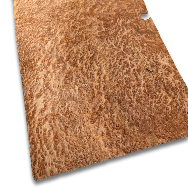 Amboyna wortelfineer | 31x19 cm