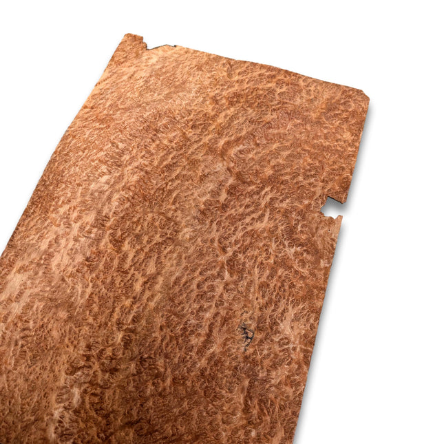 Amboyna wortelfineer | 31x19 cm
