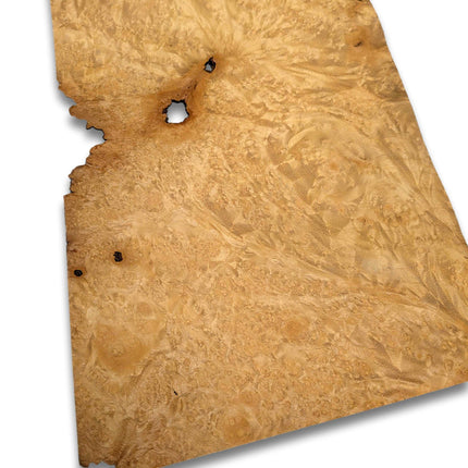 Los vel madrona (goud) wortel houtfineer 31x20 cm, naturel en onbehandeld, geschikt voor meubelbekleding of restauratieprojecten.