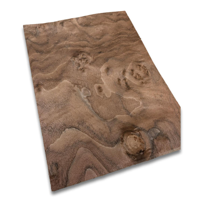 Walnoot wortelfineer | 35x25 cm