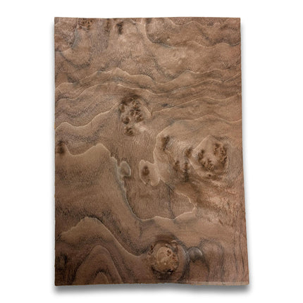 Nussbaum Maser Furnier | 35x25 cm