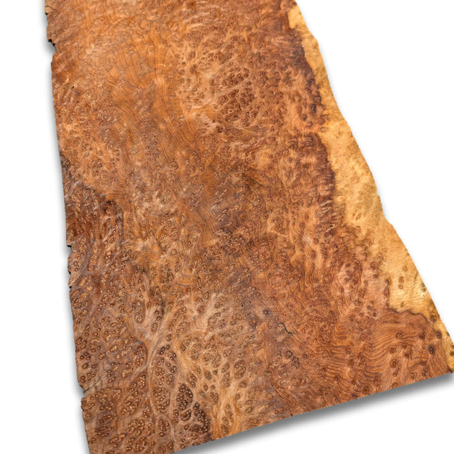 Amboyna wortelfineer | 40x17 cm